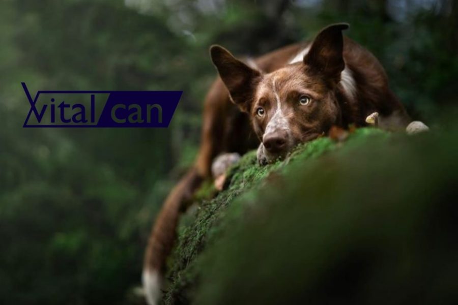 Imagen de WhatsApp 2024-05-22 a las 14.46.18_1209385e