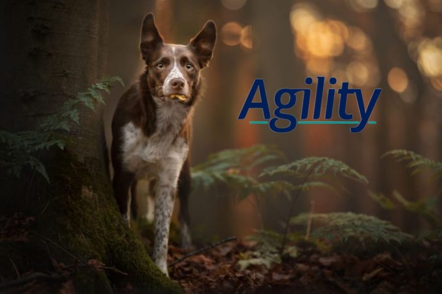 Imagen de WhatsApp 2024-05-22 a las 14.53.55_57d99311