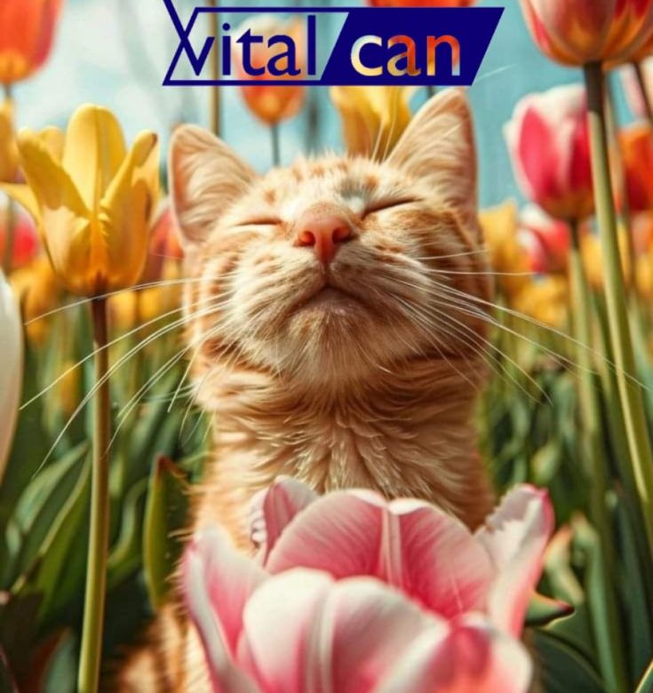 Imagen de WhatsApp 2024-06-11 a las 13.18.47_43058be5