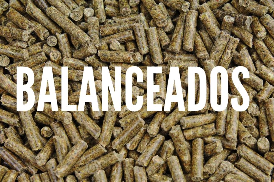 Imagen de WhatsApp 2024-07-15 a las 13.44.52_f020c04e