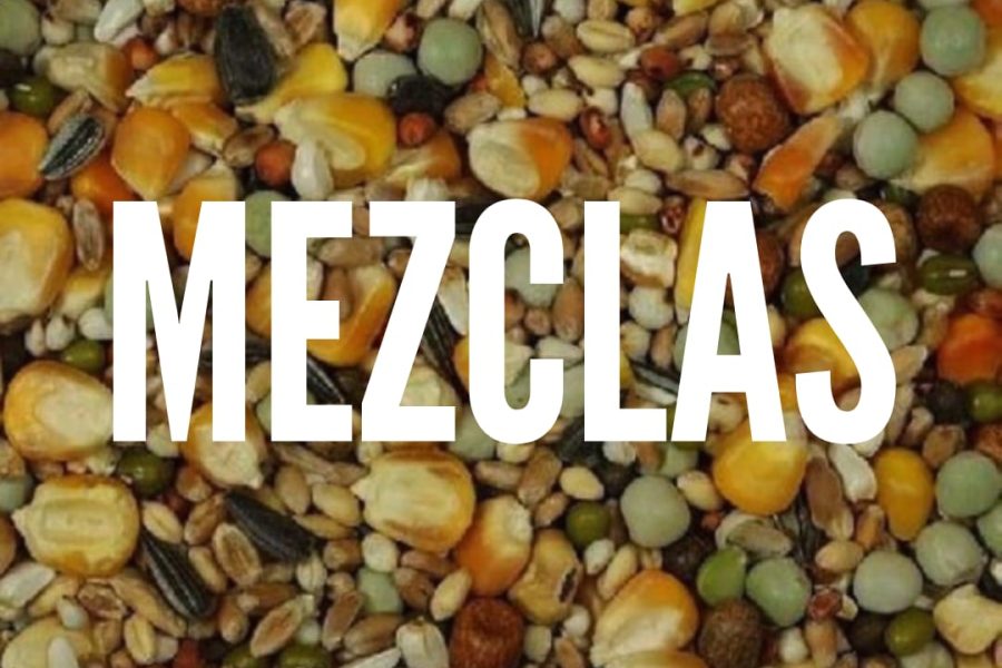 Imagen de WhatsApp 2024-07-15 a las 13.46.05_41a505cd