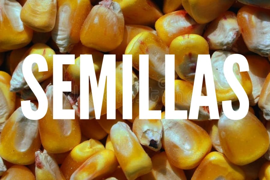 Imagen de WhatsApp 2024-07-15 a las 13.50.00_926e92c7