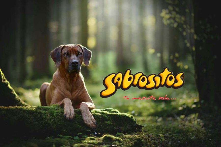 {"remix_data":[],"remix_entry_point":"challenges","source_tags":["local"],"origin":"unknown","total_draw_time":0,"total_draw_actions":0,"layers_used":0,"brushes_used":0,"photos_added":0,"total_editor_actions":{},"tools_used":{"transform":1},"is_sticker":false,"edited_since_last_sticker_save":true,"containsFTESticker":false}