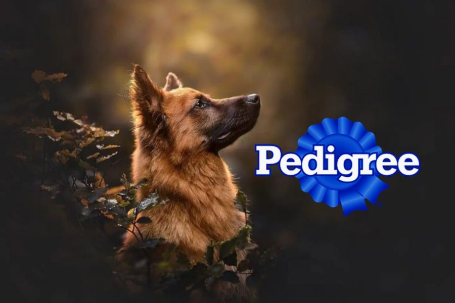 {"remix_data":[],"remix_entry_point":"challenges","source_tags":["local"],"origin":"unknown","total_draw_time":0,"total_draw_actions":0,"layers_used":0,"brushes_used":0,"photos_added":0,"total_editor_actions":{},"tools_used":{"transform":1},"is_sticker":false,"edited_since_last_sticker_save":true,"containsFTESticker":false}